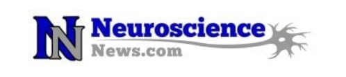 neuroscience